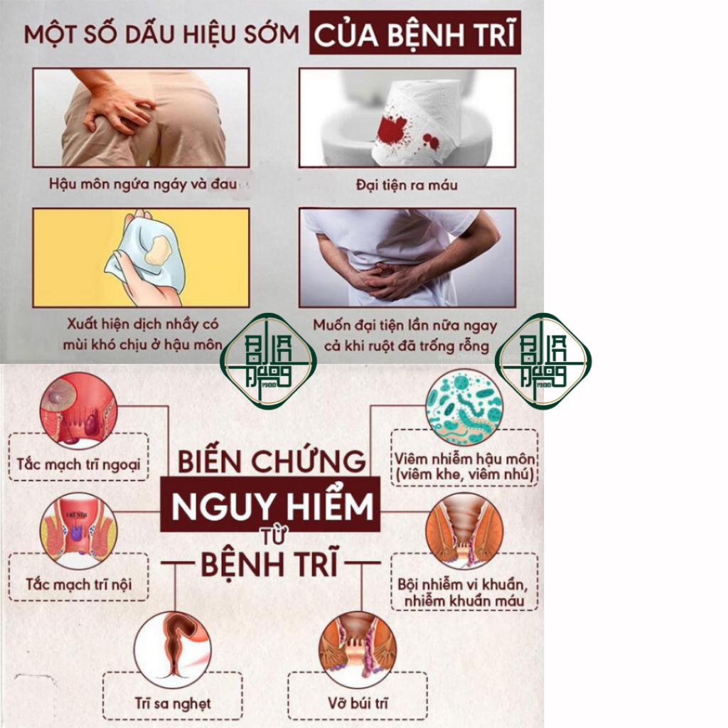 Trà Trĩ Táo Bón -Bội Lan Đường- Giúp Co Trĩ, Táo Bón Và Rát Hậu Môn, Giúp Co Nhanh Búi Trĩ tp Diếp Cá