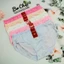 Quần Lót Nữ Coton size 65 - 75 ký Có Dệt Chữ ở Lưng Quần Mềm Mại Co Giãn 4 Chiều Cotton (3260)