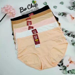 Quần lót nữ thun lạnh trơn Cạp Cao 55-65kg, gen bụng cao cấp Đại Phát siêu gọn dáng kháng khuẩn 3280