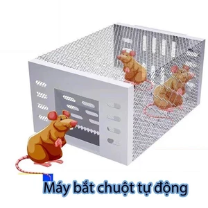 Lồng Bắt Chuột Tự Động Thông Minh Thép Không Gỉ - Bẫy Chuột Gia Đình Hiệu Quả Nhất