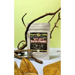SHRIMP TOUCH ST-01 Vi sinh bột nuôi tép cảnh gói 25gr