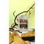 SHRIMP TOUCH ST-01 Vi sinh bột nuôi tép cảnh gói 25gr