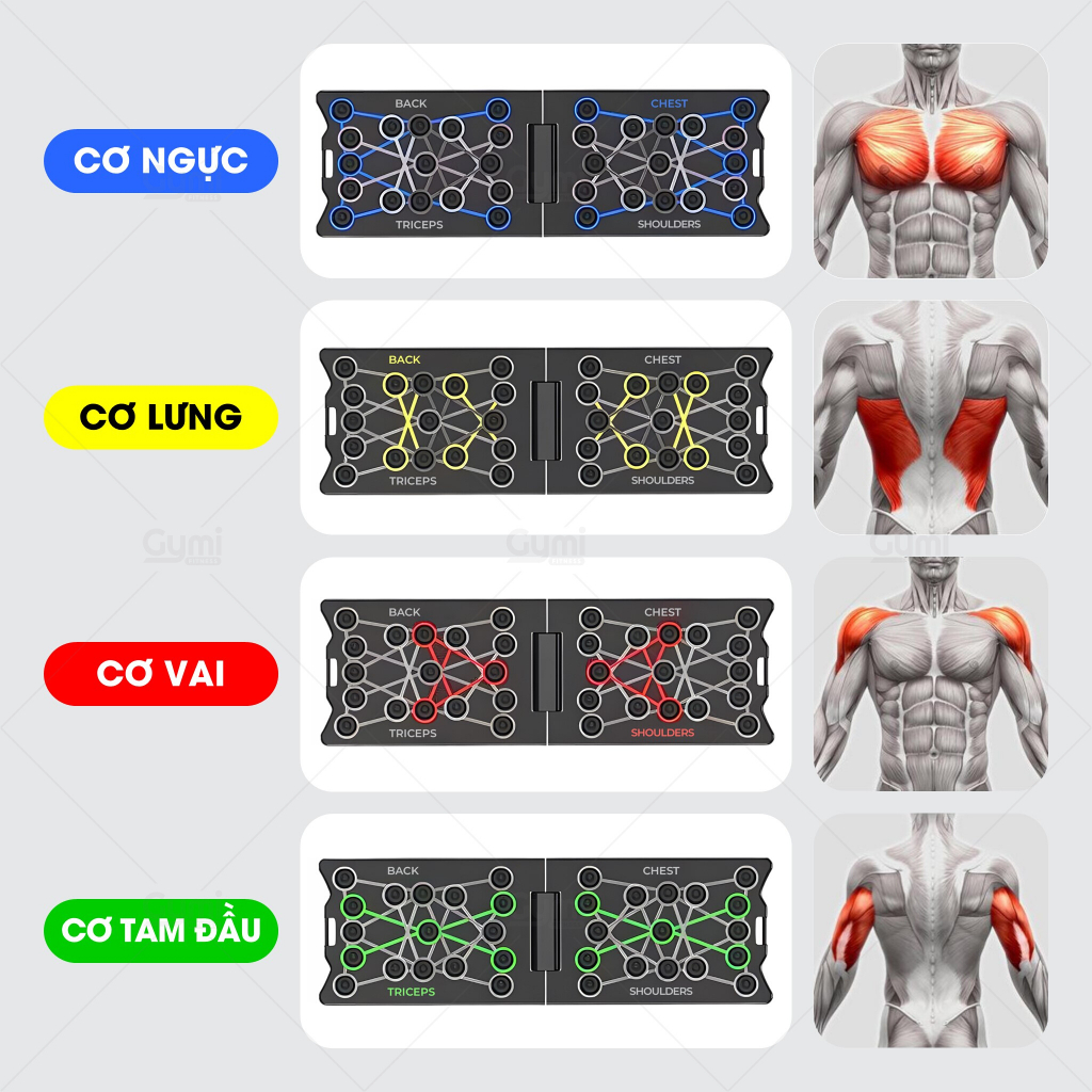 Bảng Chống Đẩy 34 Ô Tập Luyện Đa Cơ - Dụng Cụ Hít Đất Tăng Cơ Ngực, Vai, Tay Sau, Gập Gọn Tại Nhà - ChongDay