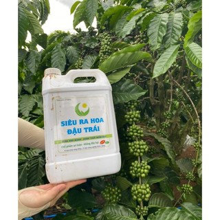 Combo 2 can 5 L cho cây ra hoa nhiều đậu trái, dưỡng bông , chống rụng bông và trái cho cà phê, hồ tiêu