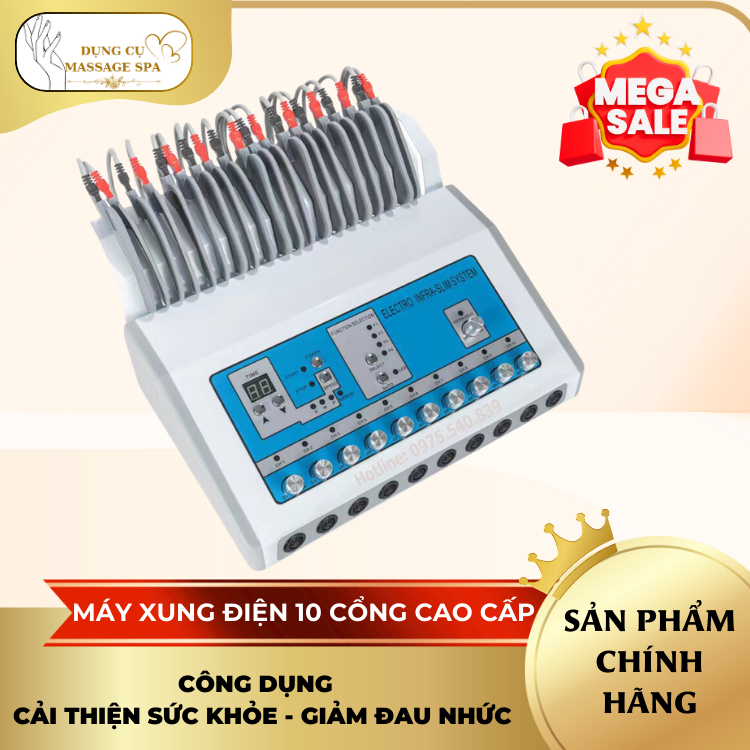 Loại 1 Dây Dài 2.5M Điện Xung 10 Cổng - Máy Điện Xung Trung Tần 10 Cổng ...