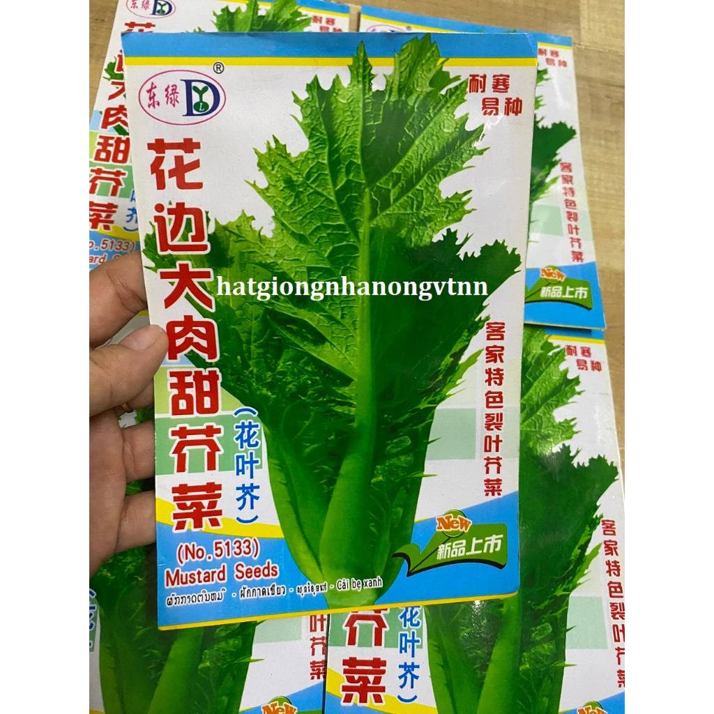 Hạt Giống rau cải mèo khổng lồ hàng nhập khẩu-gói 4gram- Tỷ lệ nảy mầm ...
