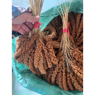 Hạt Dinh Dưỡng 1kg Cho Chim Cảnh/Vẹt/Cu Gáy/Sẻ - Hạt Kê Đỏ/Vàng/Hướng Dương, Giúp Lông Óng Mượt