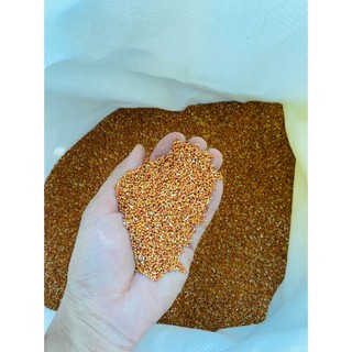 Hạt Dinh Dưỡng 1kg Cho Chim Cảnh/Vẹt/Cu Gáy/Sẻ - Hạt Kê Đỏ/Vàng/Hướng Dương, Giúp Lông Óng Mượt