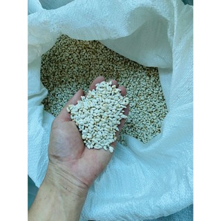 Hạt Dinh Dưỡng 1kg Cho Chim Cảnh/Vẹt/Cu Gáy/Sẻ - Hạt Kê Đỏ/Vàng/Hướng Dương, Giúp Lông Óng Mượt