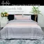Bộ Chăn Drap Lụa Tencel Mát Lạnh Thiên Nhiên Chăn 2m2x2m Sợi Microfiber LS LAVISH SILK
