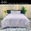 Bộ Chăn Drap Lụa Tencel Mát Lạnh Thiên Nhiên Chăn 2m2x2m Sợi Microfiber LS LAVISH SILK
