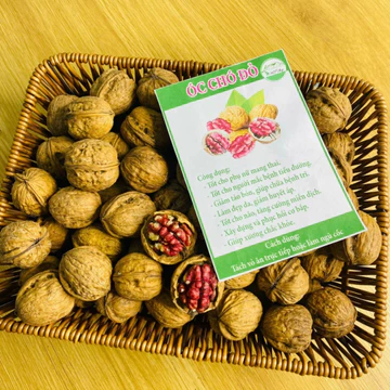 Hạt quả óc chó đỏ nguyên vỏ (500g, 1kg) , hạt óc chó đỏ hữu cơ nhập Mỹ loại 1 chưa tách vỏ, làm sữa hạt