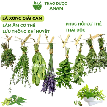 Lá Xông Giải Cảm 500 GAM Lá Tắm Thảo Dược Người Dao đỏ sau sinh Tía Tô Ngải Cứu Vỏ Bưởi Hương nhu Thảo dược Anam