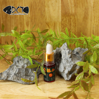 Thuốc Vương Bản Đặc Biệt - Đài Câu Thích
