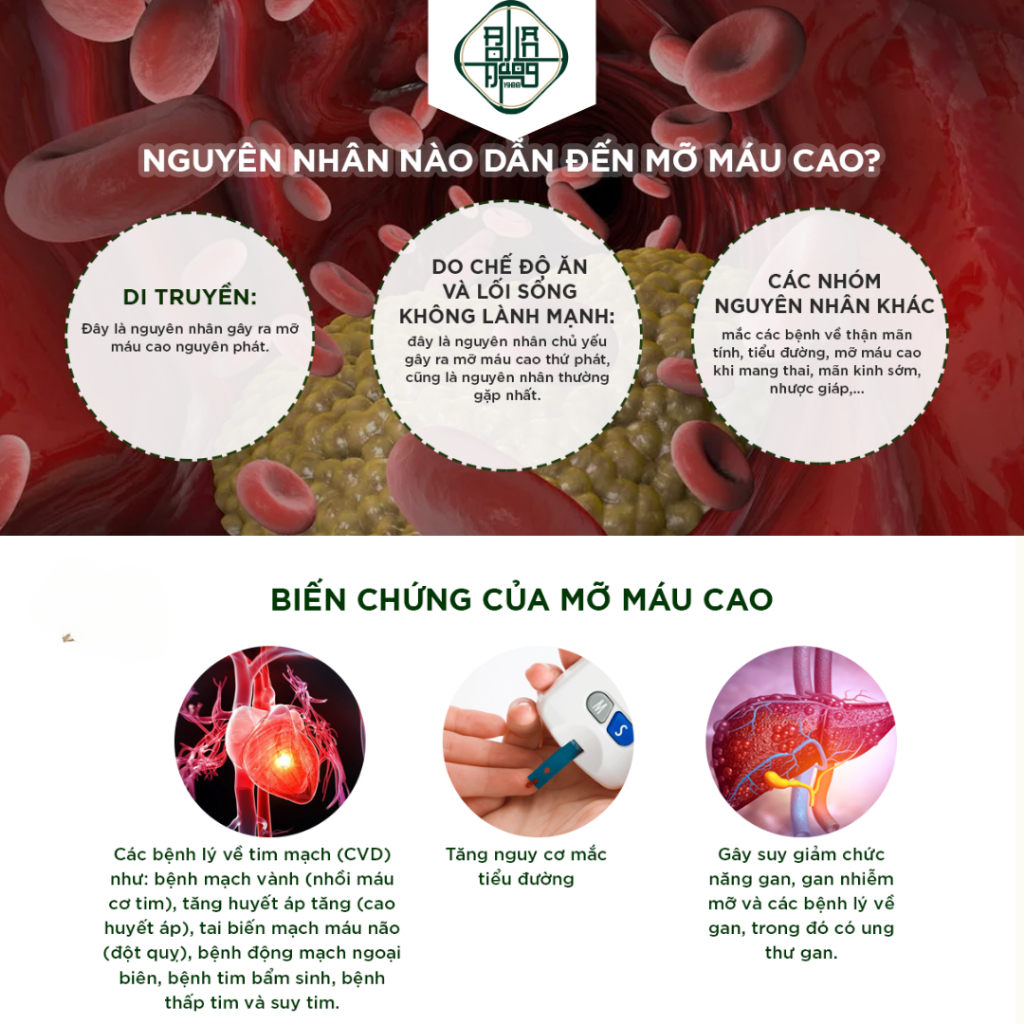 Trà Giảm Mỡ Máu Bội Lan Đường, Máu Nhiễm Mỡ,Mỡ Thành Mạch, Giảm Cân, Ngừa Tai Biến, Ổn Định Huyết Áp