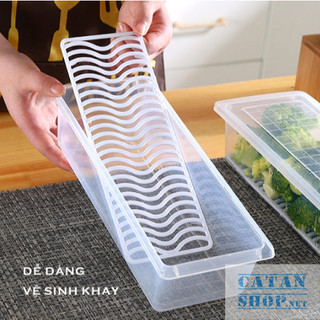 Hộp Đựng Thực Phẩm Chữ Nhật, Hộp Bảo Quản Rau Củ, Hoa Quả Có Nắp Đậy Để Tủ Lạnh Bằng Nhựa PP An Toàn Sức Khoẻ