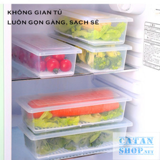 Hộp Đựng Thực Phẩm Chữ Nhật, Hộp Bảo Quản Rau Củ, Hoa Quả Có Nắp Đậy Để Tủ Lạnh Bằng Nhựa PP An Toàn Sức Khoẻ