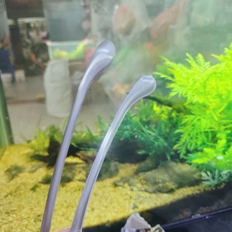 Gắp ( Kẹp )thức ăn, gắp bánh đầu tròn bằng inox mẫu đẹp mới kích thước (30cm), kẹp gắp đa năng- dụng cụ nhà bếp
