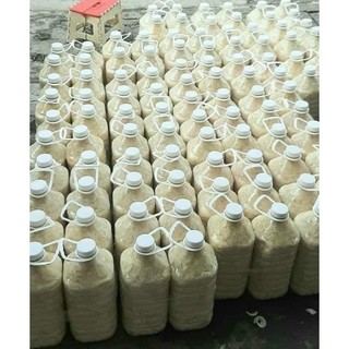 Măng rừng ngâm chua giòn ngon can 5 lít để quanh năm nhận sỉ cho nhà hàng