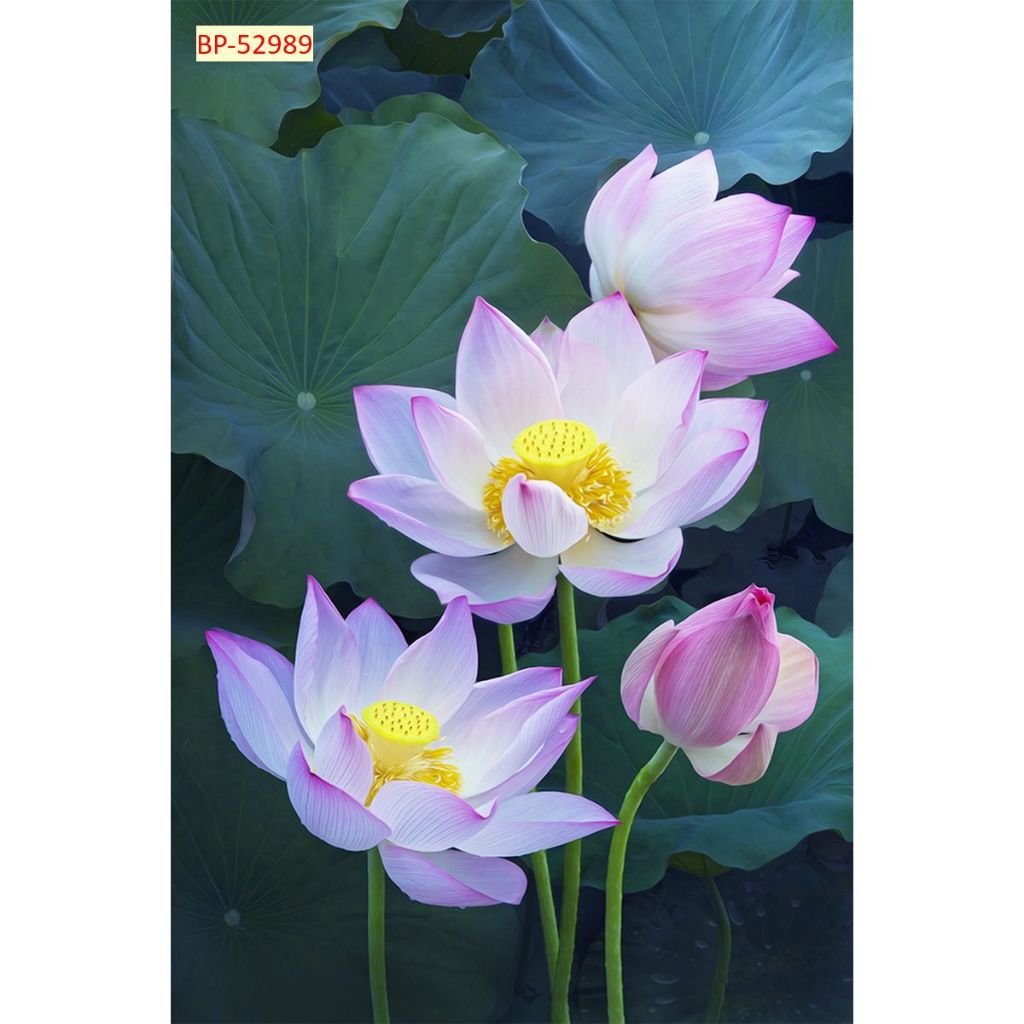 Tranh vải lụa dán tường 3D tranh hoa sen nhiều mẫu hình ảnh lựa chọn...