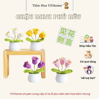 Chậu Nhựa Cứng Mini Hoa Kẽm Nhung, Len Handmade Có Sẵn Xốp Và Rêu YiYihome