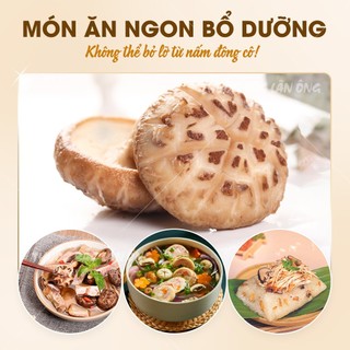 Nấm đông cô khô Nhật Bản 100g, tai nấm to, trắng, thơm ngon, dùng hầm canh, pha trà - Lãn Ông