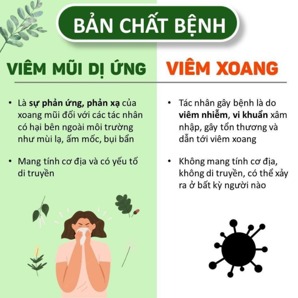 Trà Hỗ Trợ Xoang Mũi Bội Lan Đường - Thông Mũi Dễ Thở, Dứt Điểm Sổ Mũi Xoang Cấp Và Mãn Tính