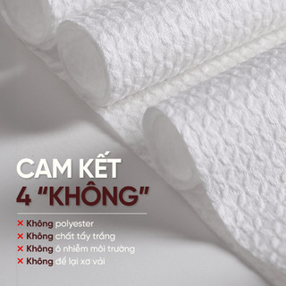 COMBO 3 Hộp Khăn mặt khô đa năng cao cấp Goêm phiên bản du lịch 5m