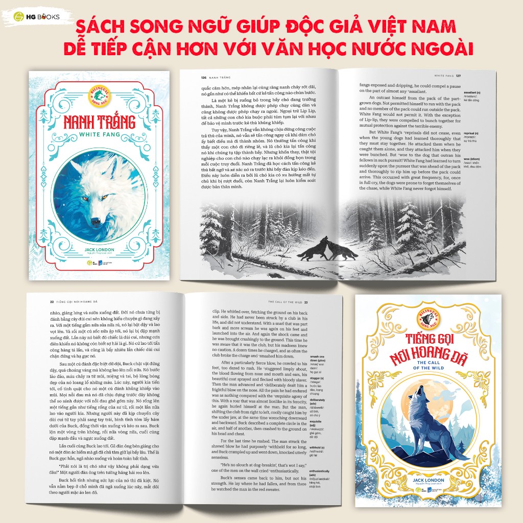 Ảnh Sách song ngữ Tiếng Gọi Nơi Hoang Dã và Nanh Trắng tác giả Jack London, sách kinh điển HG Books 4