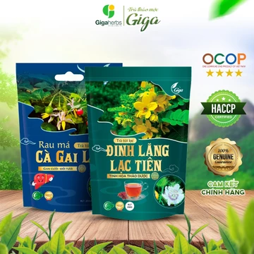 [ Combo 2 gói ] 1 gói Trà Ngủ Ngon Đinh Lăng Lạc Tiên Và 1 gói Trà Cà Gai Leo GIGA - giúp ngủ ngon,hạ men gan 1 gói 250g