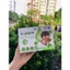 Gạc Rơ Lưỡi Dr Papie 30 gói Làm Sạch Nướu, Lưỡi, Răng, Miệng Cho Trẻ Từ Sơ Sinh Trở Lên