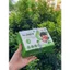 Gạc Rơ Lưỡi Dr Papie 30 gói Làm Sạch Nướu, Lưỡi, Răng, Miệng Cho Trẻ Từ Sơ Sinh Trở Lên