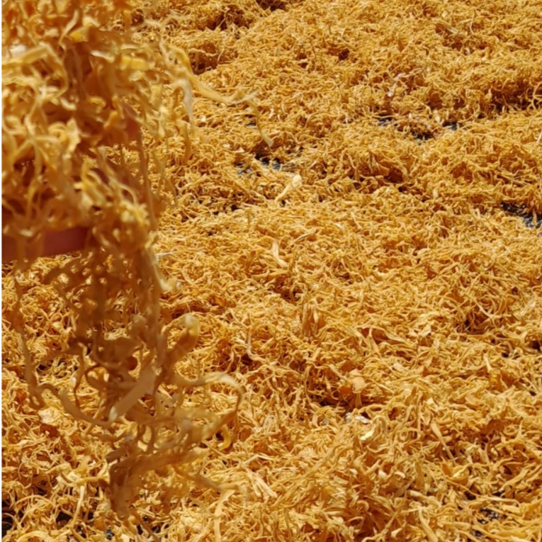 Măng Khô Tây Bắc Loại 1 ngon giòn 200g/500g/1000g