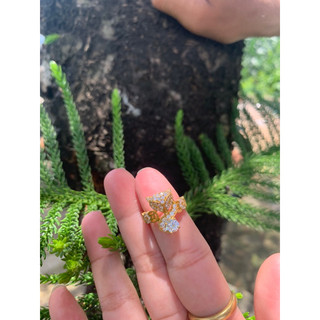 Feng Shui Ring by Hani.jewelry