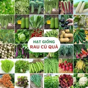 Combo 25 loại hạt giống rau củ quả dễ trông - Dễ trồng, dễ chăm sóc.