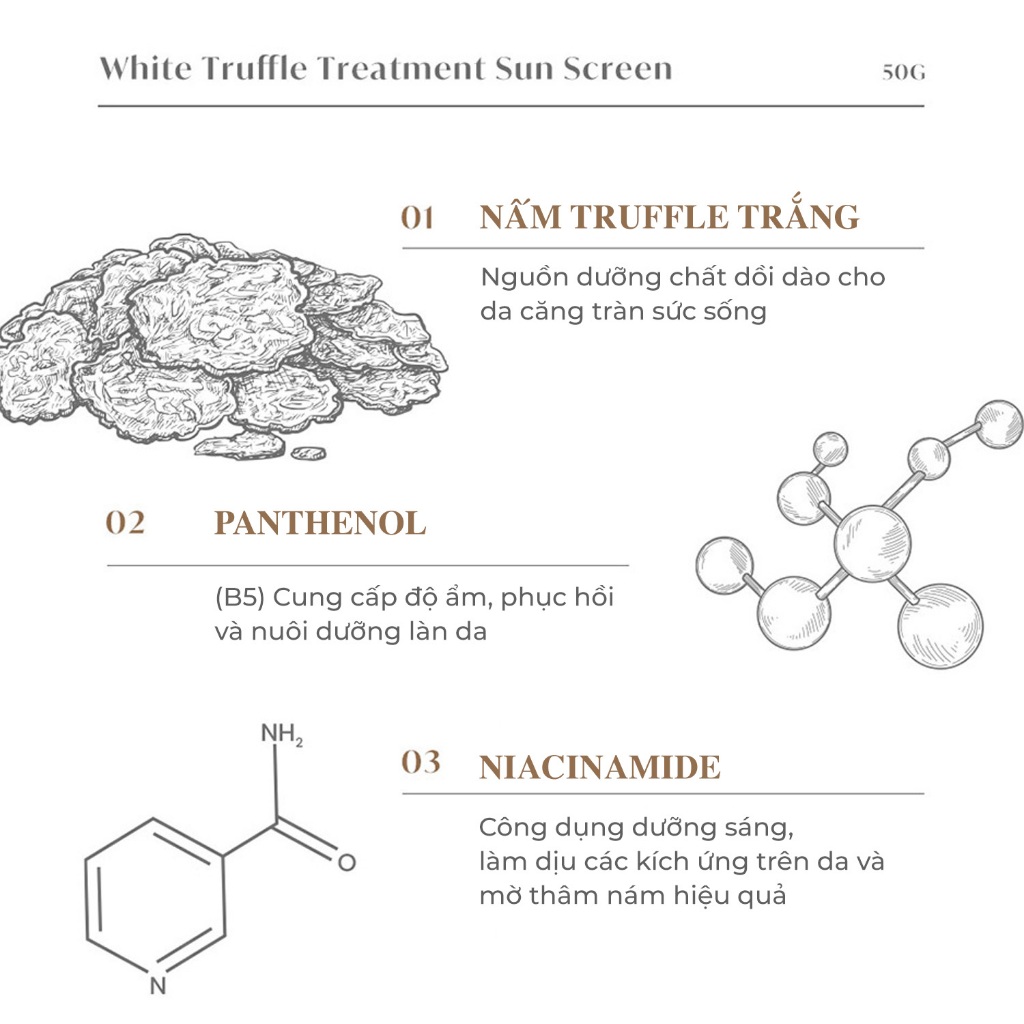 Ảnh Kem Chống Nắng Nâng Tone - Bảo Vệ Da Toàn Diện Neogen Dermalogy White Truffle Treatment Sun Screen 50ml 4
