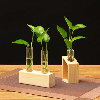 Bình trồng cây thủy canh kèm đến gỗ, bình cây trang trí văn phòng, bàn làm việc