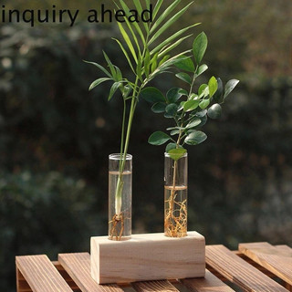 Bình trồng cây thủy canh kèm đến gỗ, bình cây trang trí văn phòng, bàn làm việc
