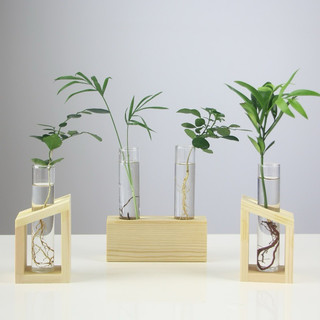 Bình trồng cây thủy canh kèm đến gỗ, bình cây trang trí văn phòng, bàn làm việc