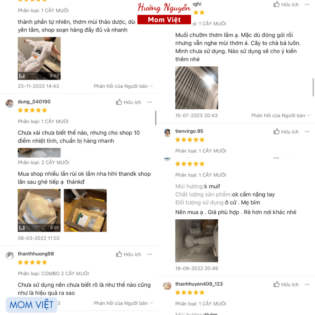 CÂY MUỐI THẢO DƯỢC CHƯỜM MẮT MOM VIET