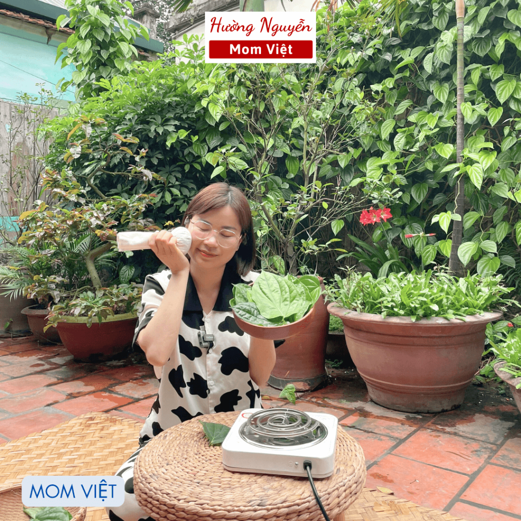 CÂY MUỐI THẢO DƯỢC CHƯỜM MẮT MOM VIET