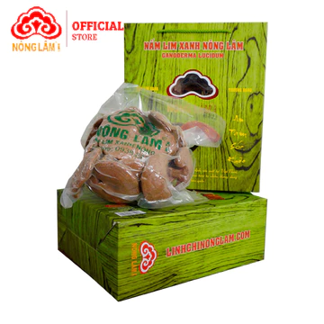 Lim Xanh Nông Lâm Cao Cấp 250g - Nấm Lim Xanh