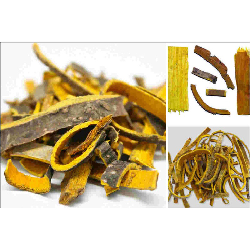 Hoàng Bá Bắc ( Khô, Sạch, Đẹp ) Hàng Loại 1