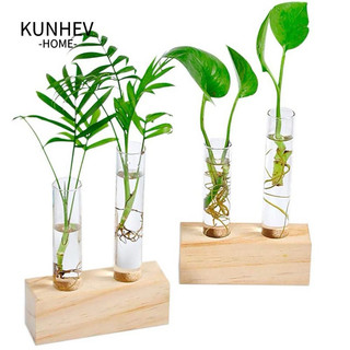 Bình trồng cây thủy canh kèm đến gỗ, bình cây trang trí văn phòng, bàn làm việc