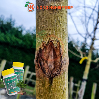 Keo Liền Da Cây Tree Seal 100g - Keo Liền Sẹo Cho Cây