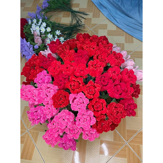 [CÓ SẴN-HỎA TỐC HCM] HOA HỒNG KẼM NHUNG NHIỀU MÀU ANGIHOME