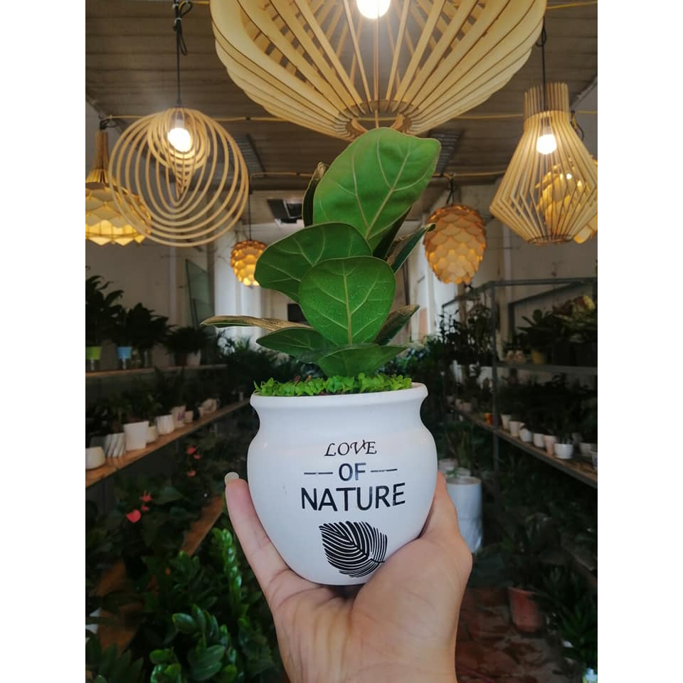 Đèn trang trí đèn gỗ tròn