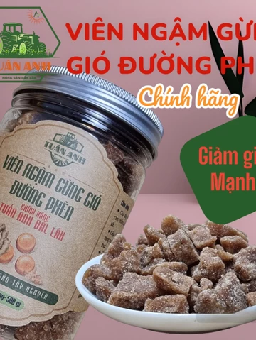 500Gr VIÊN GỪNG NGẬM Trà Gừng Gió Đường Phèn Chính Hãng Tuấn Anh Đăk Lăk ( Gừng Rừng Tây Nguyên)