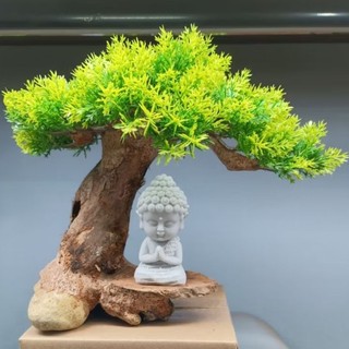 Gỗ lũa bonsai tán tùng dành cho bể cá cảnh, mẫu Đức Phật, Tô Ngộ Không ngồi thiền.