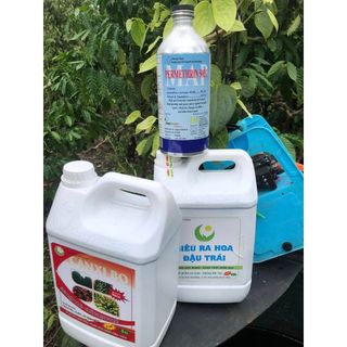 CANXI BO HLC 500ML CHỐNG RỤNG HOA, CHỐNG RỤNG QUẢ NON, CHẮC HẠT